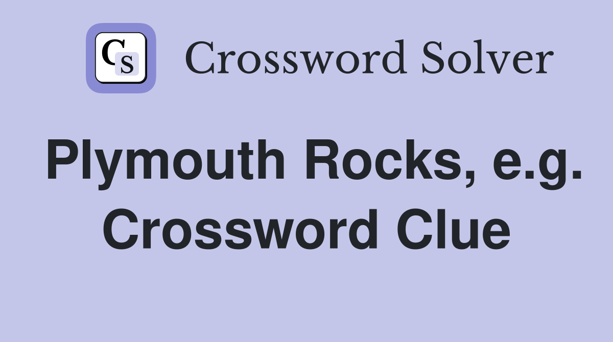 Plymouth Rocks, e.g. Crossword Clue