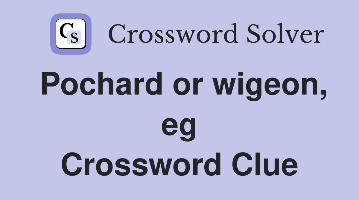 Pochard or wigeon, eg Crossword Clue