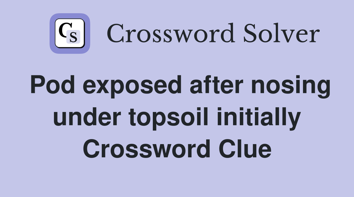 Pod exposed after nosing under topsoil initially Crossword Clue