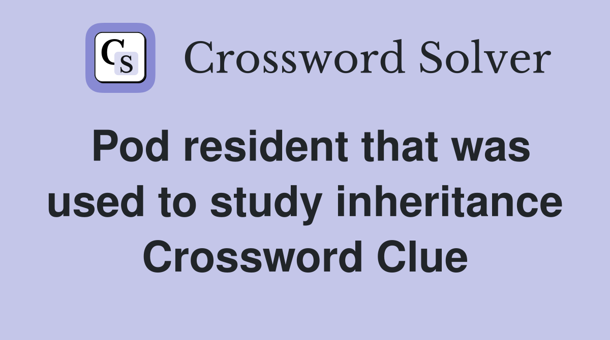 Pod resident that was used to study inheritance Crossword Clue