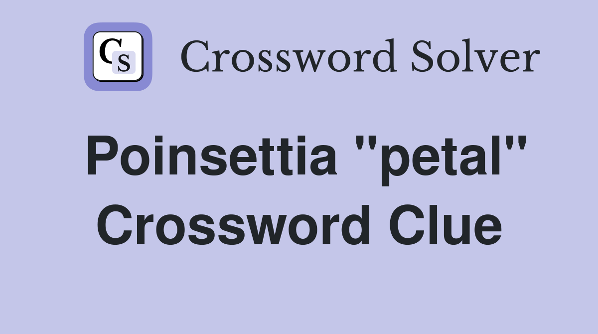 Poinsettia "petal" Crossword Clue