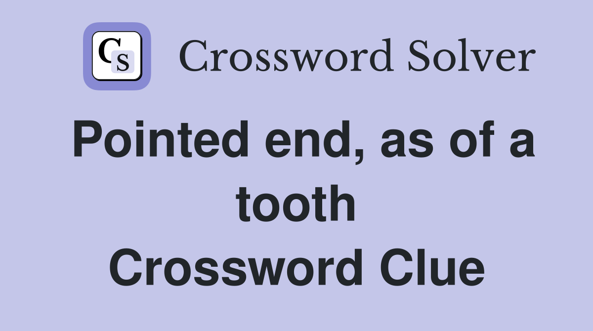 Pointed end, as of a tooth Crossword Clue