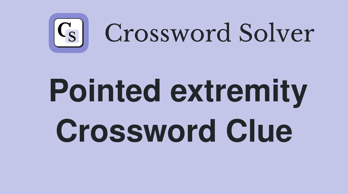 Pointed extremity Crossword Clue