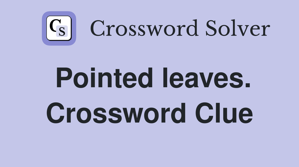 Pointed leaves. Crossword Clue