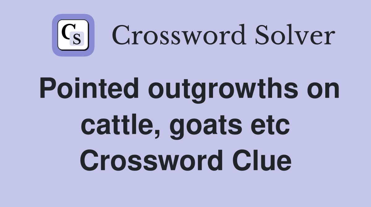Pointed outgrowths on cattle, goats etc Crossword Clue