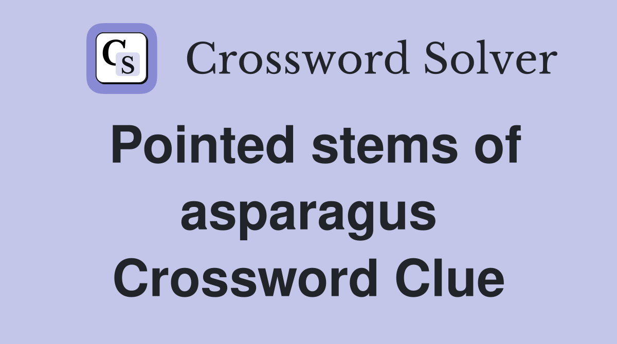 Pointed stems of asparagus Crossword Clue