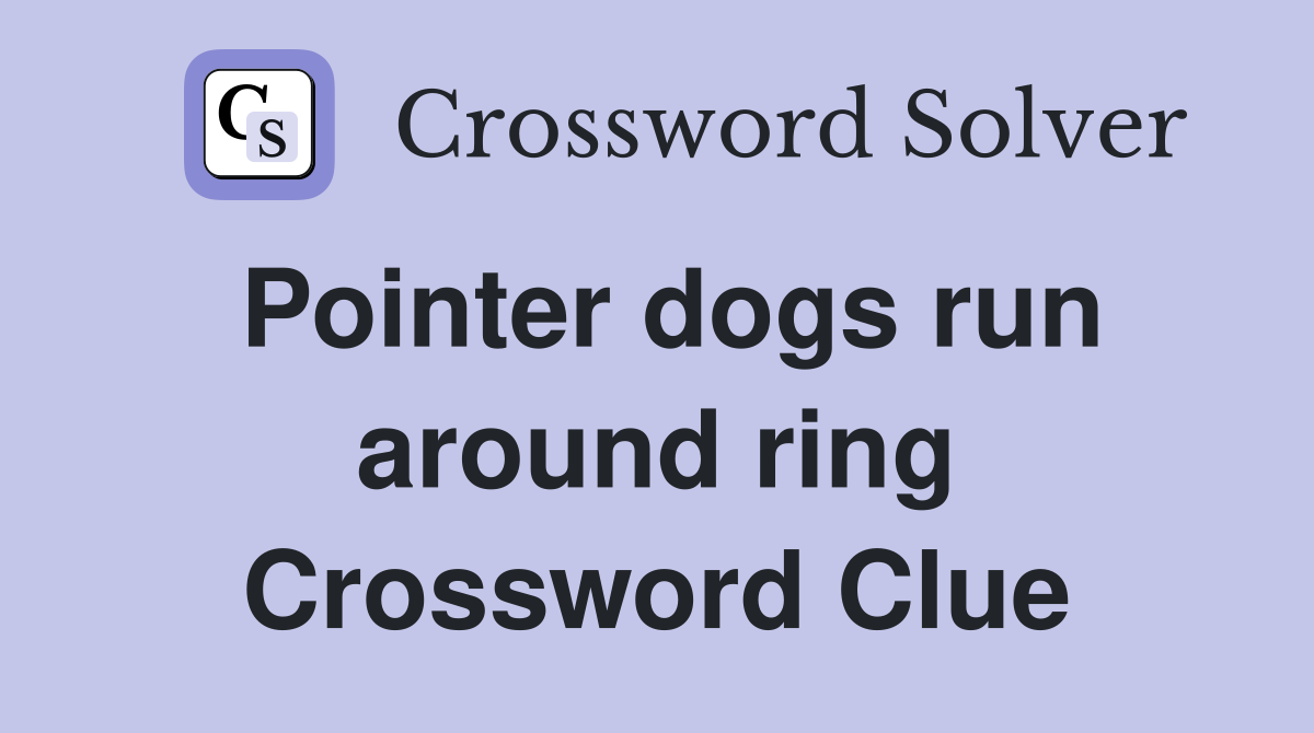 Pointer dogs run around ring Crossword Clue
