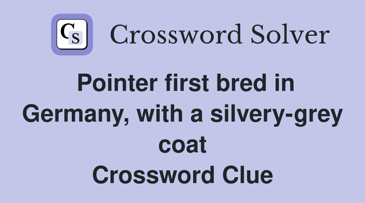 Pointer first bred in Germany, with a silvery-grey coat Crossword Clue