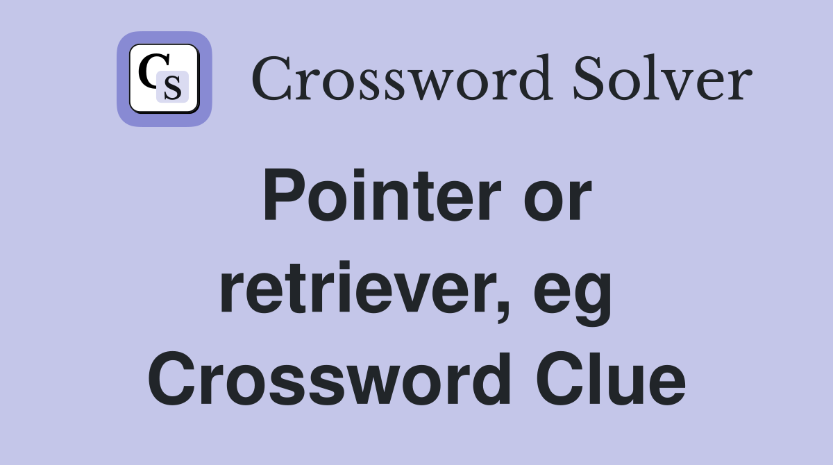 Pointer or retriever, eg Crossword Clue