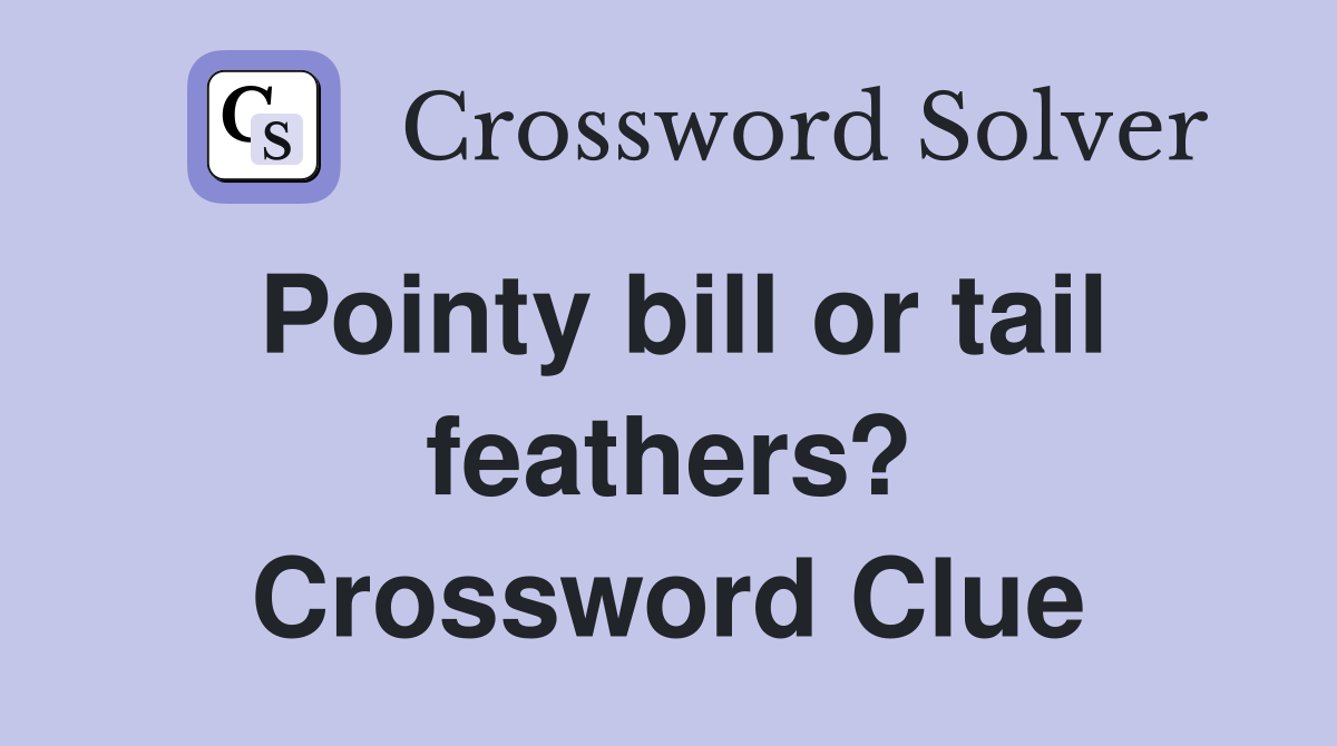 Pointy bill or tail feathers? Crossword Clue