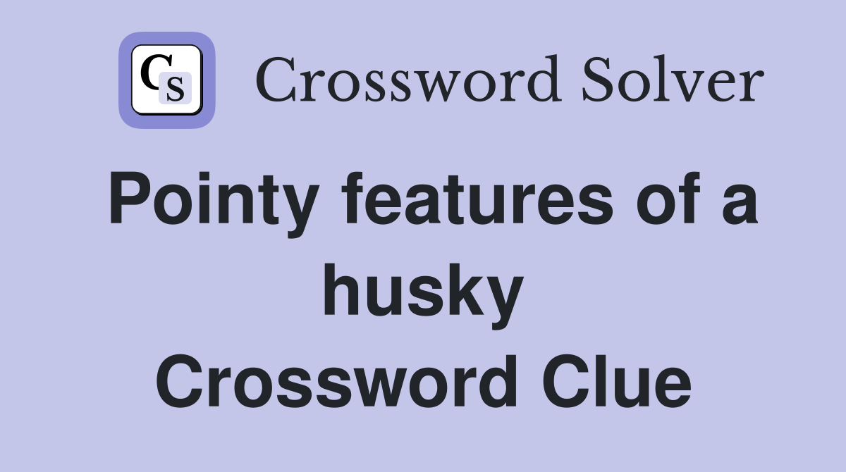 Pointy features of a husky Crossword Clue