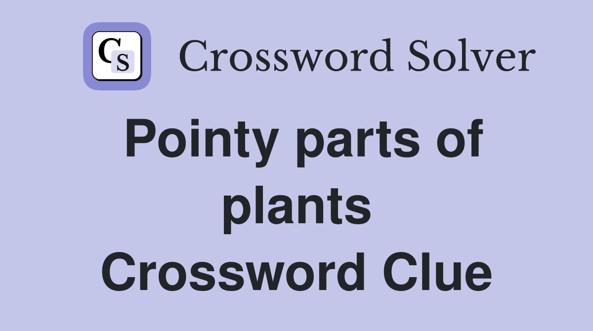 Pointy parts of plants Crossword Clue