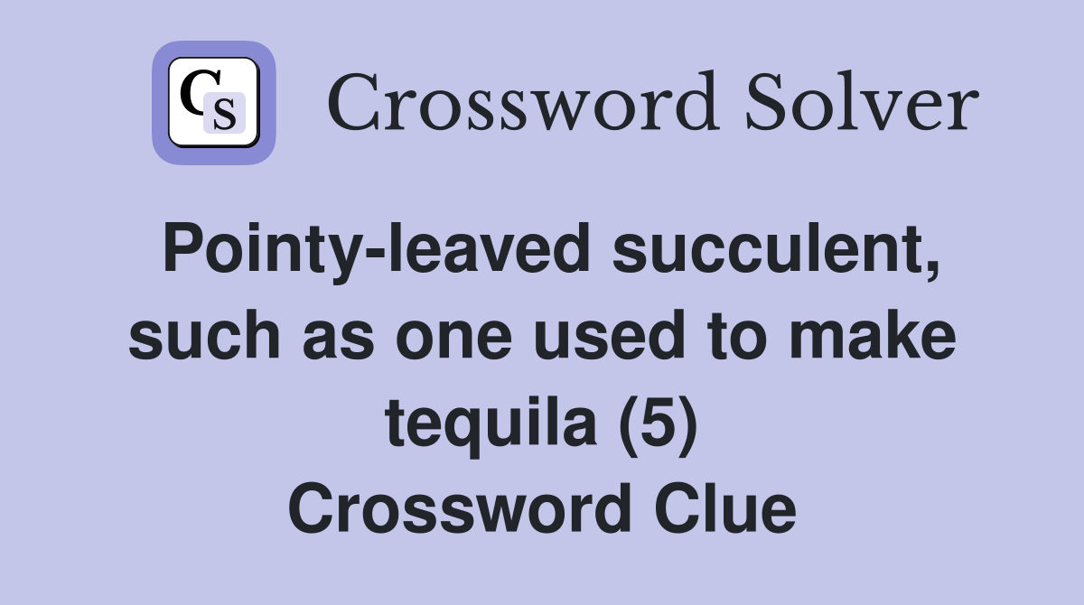 Pointy-leaved succulent, such as one used to make tequila (5) Crossword Clue