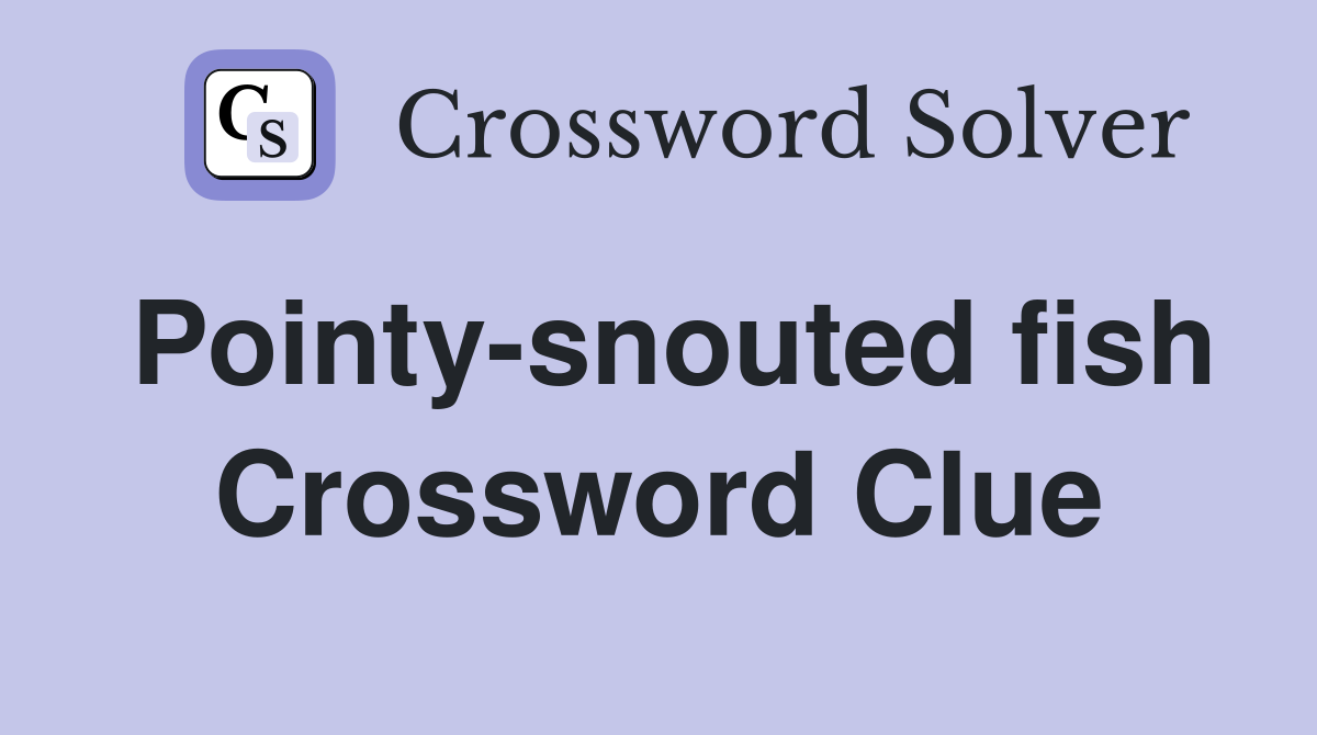 Pointy-snouted fish Crossword Clue