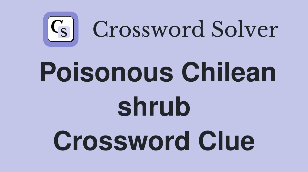 Poisonous Chilean shrub Crossword Clue
