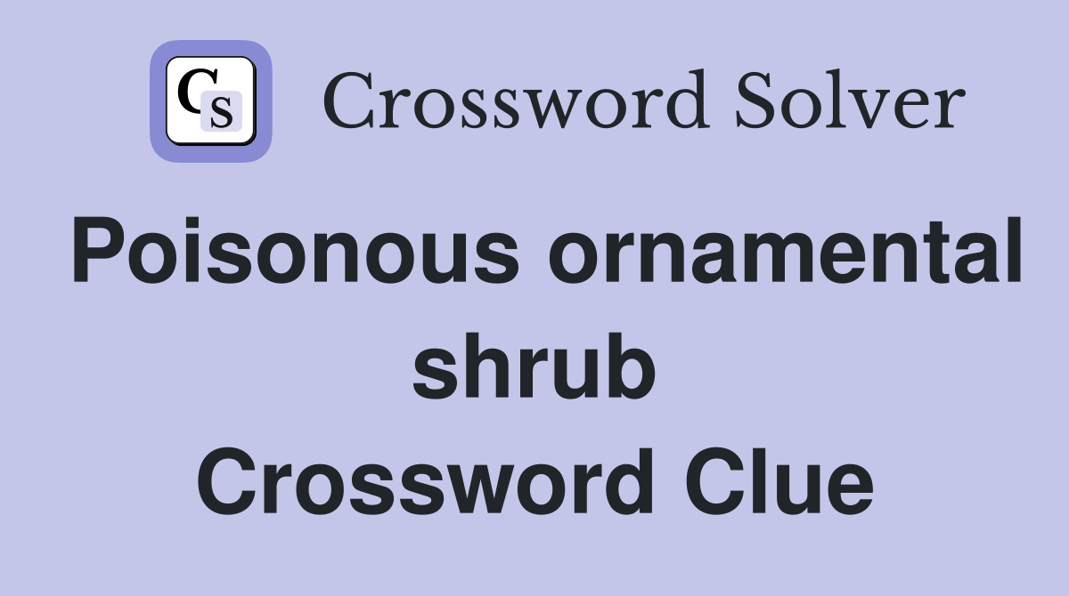 Poisonous ornamental shrub Crossword Clue