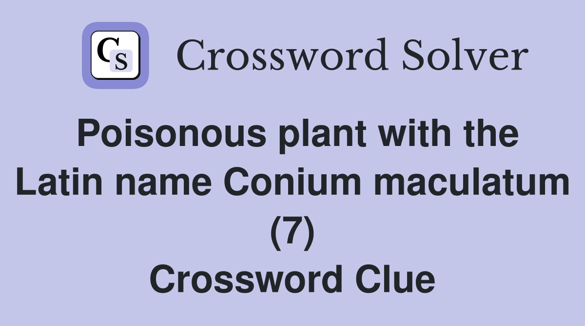 Poisonous plant with the Latin name Conium maculatum (7) Crossword Clue