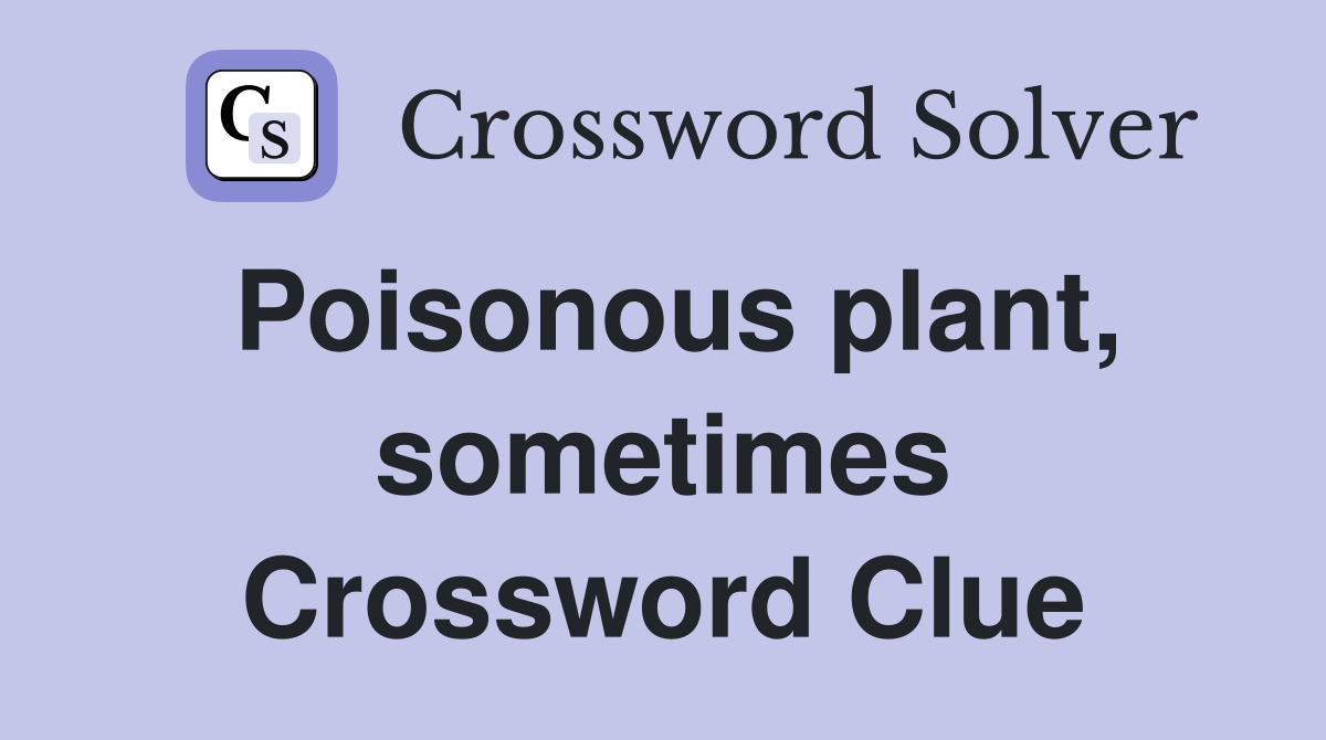 Poisonous plant, sometimes Crossword Clue