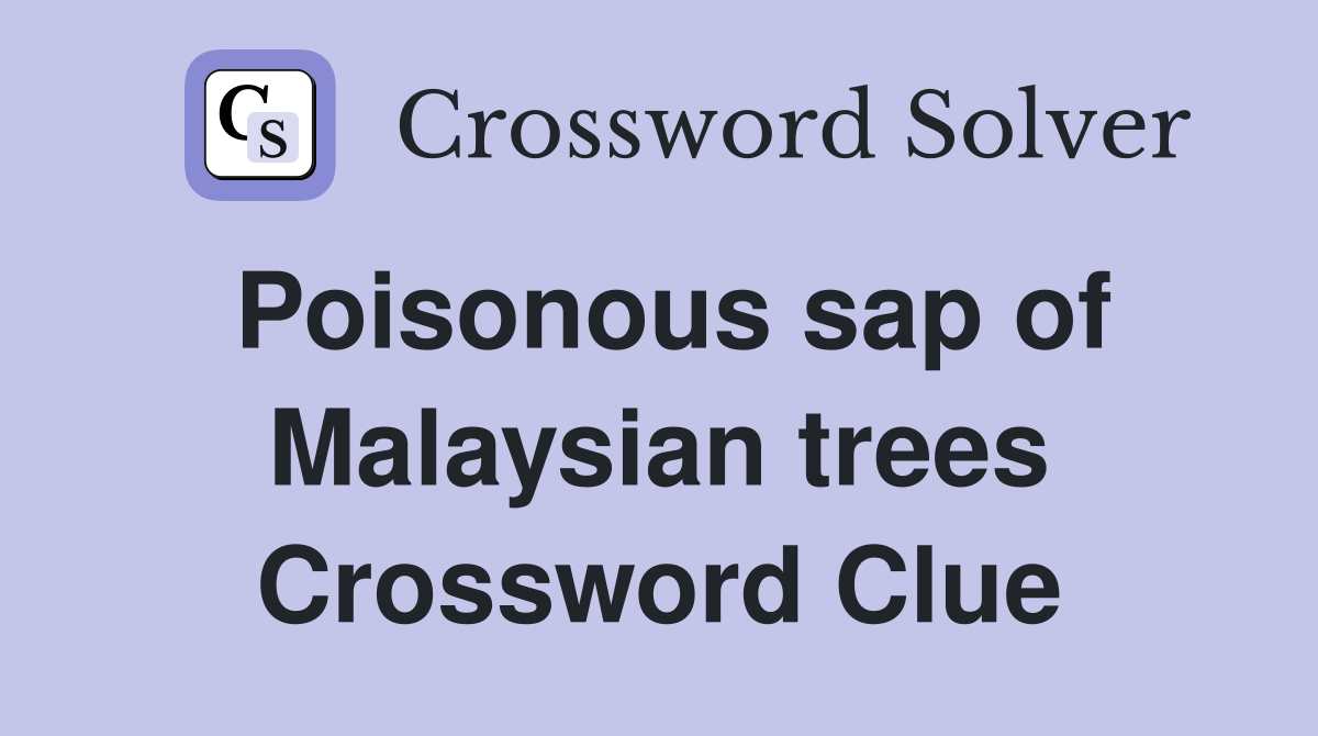 Poisonous sap of Malaysian trees Crossword Clue