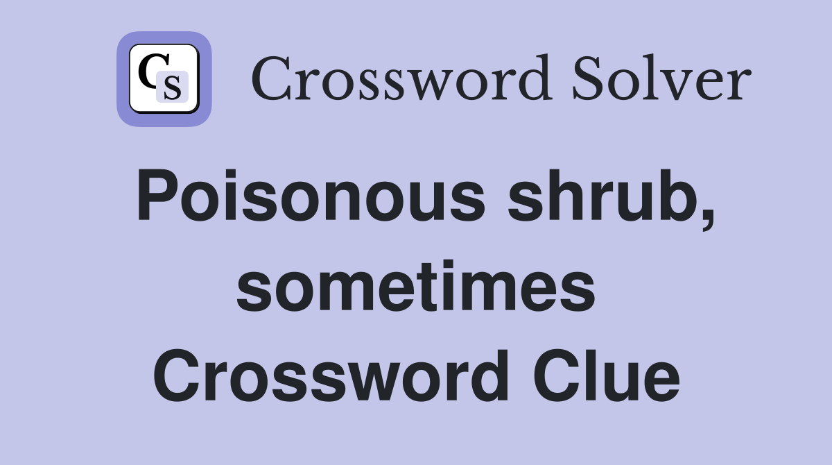 Poisonous shrub, sometimes Crossword Clue