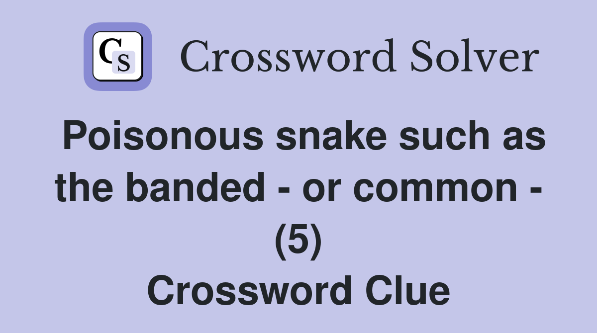 Poisonous snake such as the banded - or common - (5) Crossword Clue