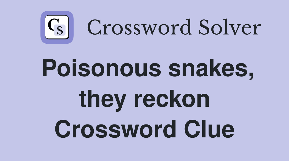 Poisonous snakes, they reckon Crossword Clue