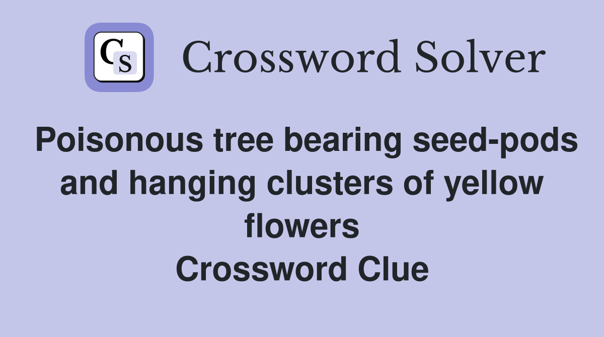 Poisonous tree bearing seed-pods and hanging clusters of yellow flowers Crossword Clue