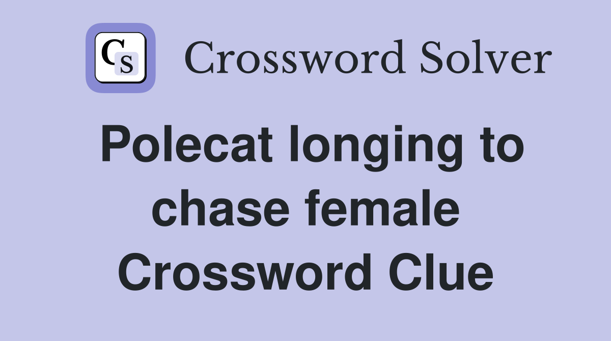 Polecat longing to chase female Crossword Clue