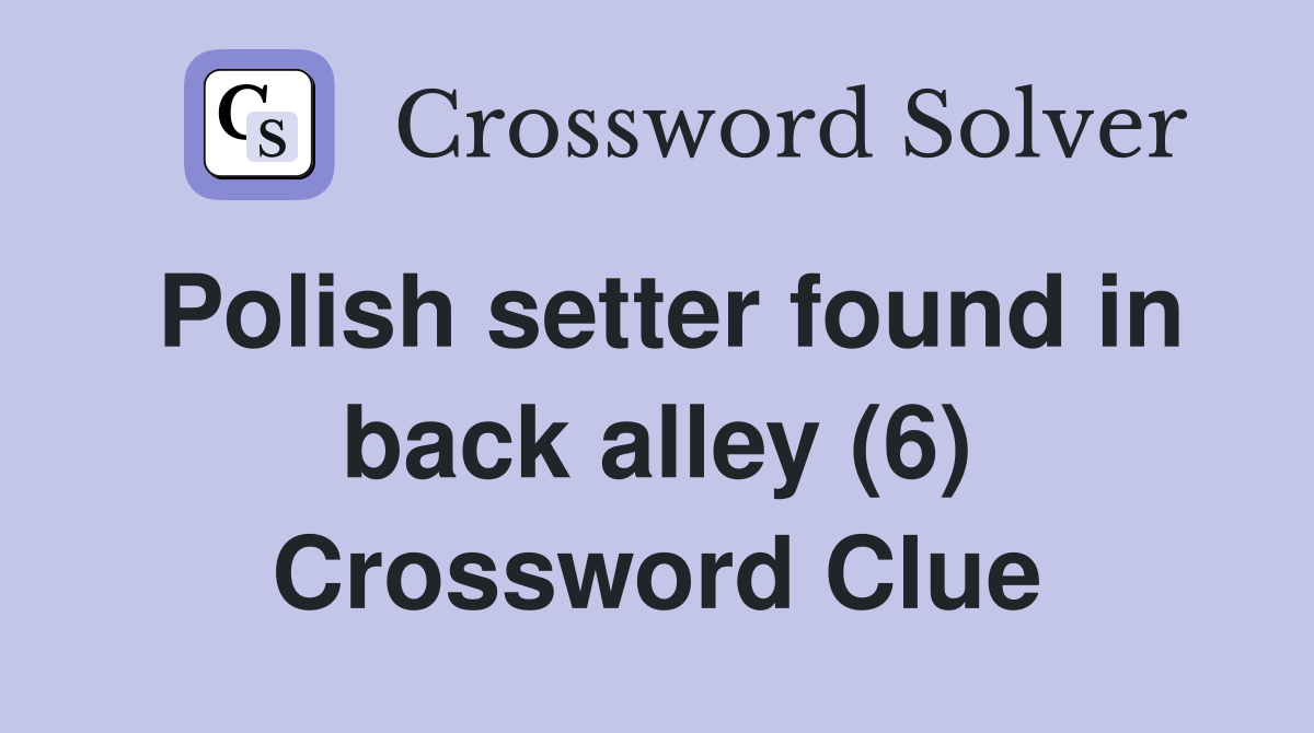 Polish setter found in back alley (6) Crossword Clue