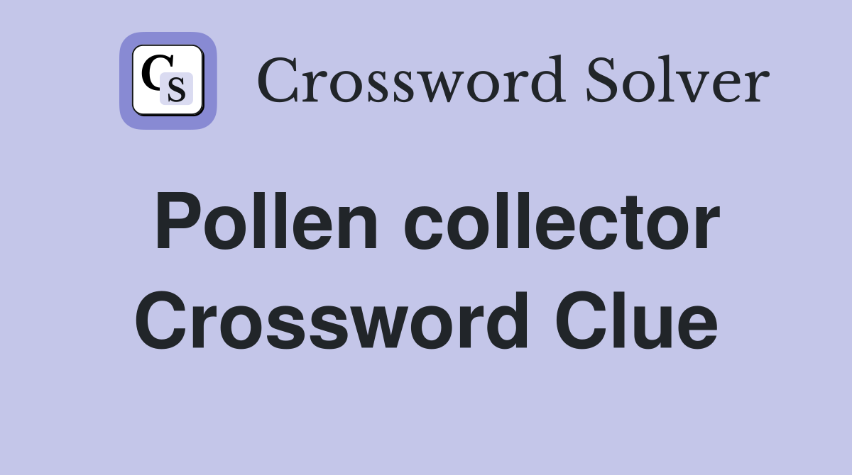 Pollen collector Crossword Clue