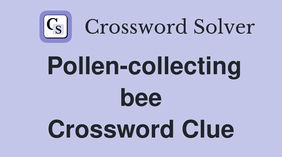 Pollen-collecting bee Crossword Clue