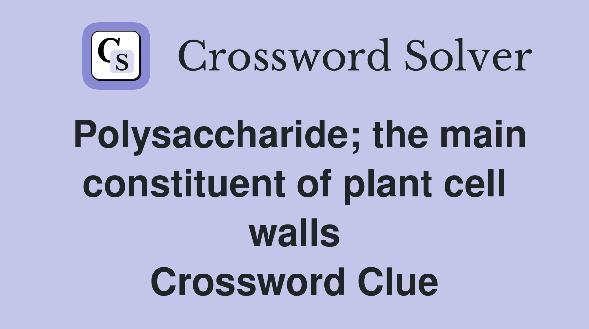 Polysaccharide; the main constituent of plant cell walls Crossword Clue
