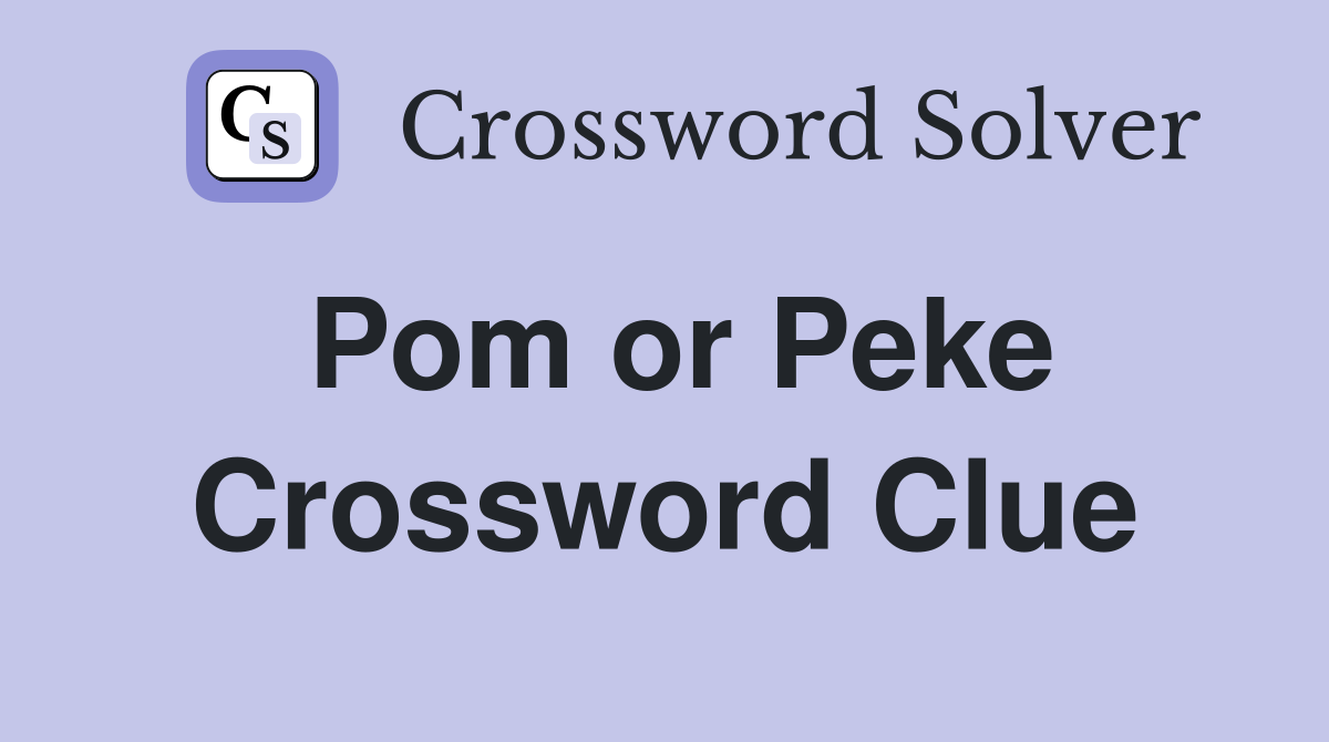 Pom or Peke Crossword Clue