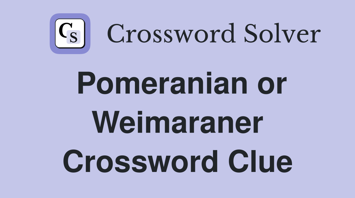 Pomeranian or Weimaraner Crossword Clue