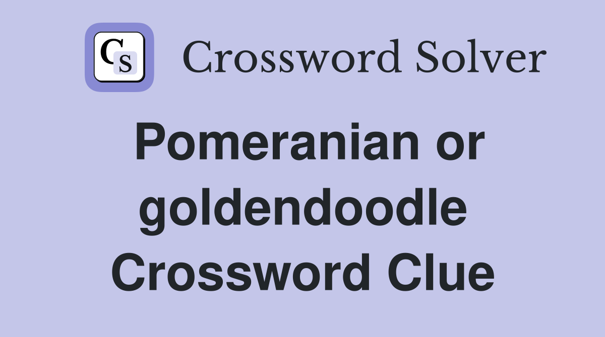 Pomeranian or goldendoodle Crossword Clue