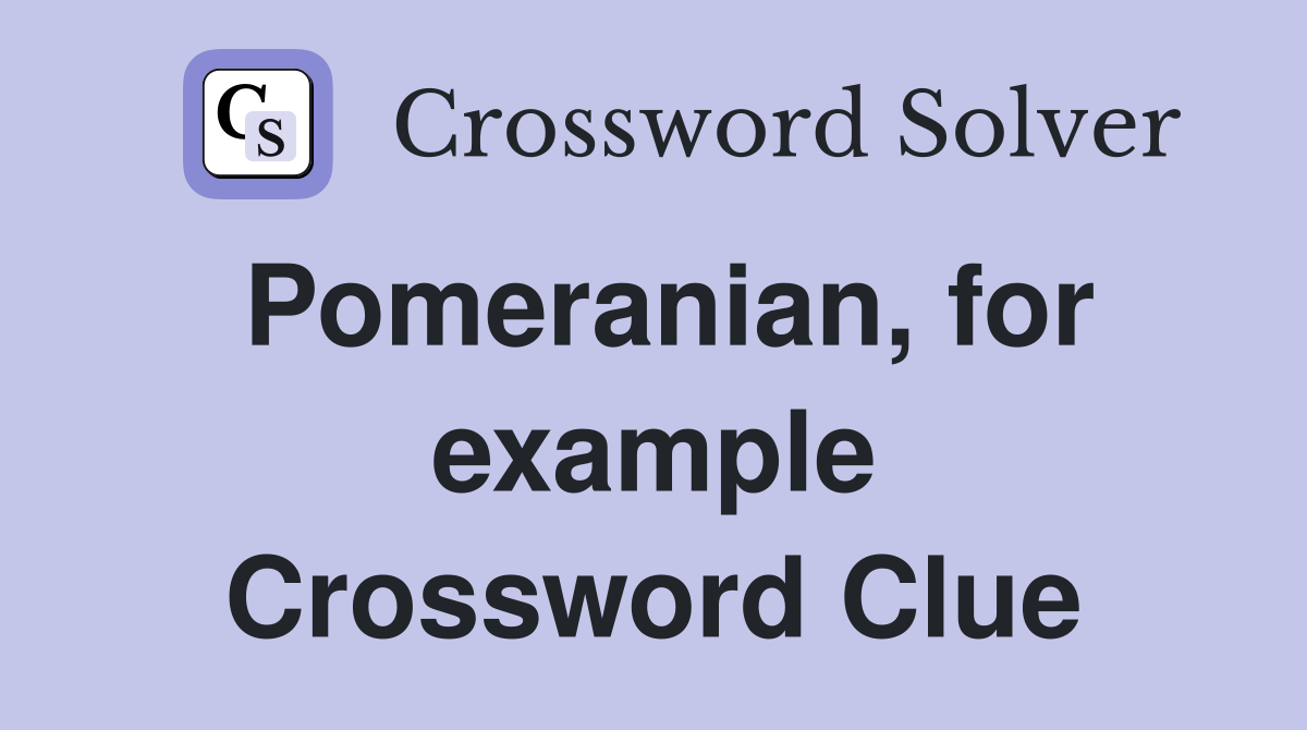 Pomeranian, for example Crossword Clue