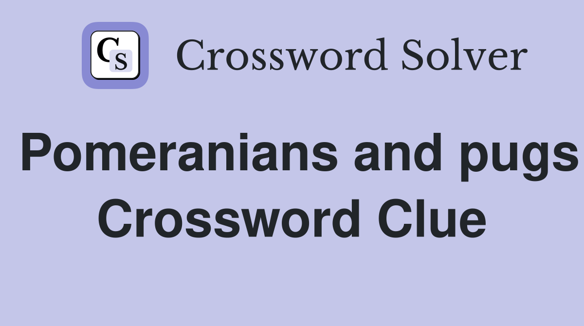 Pomeranians and pugs Crossword Clue