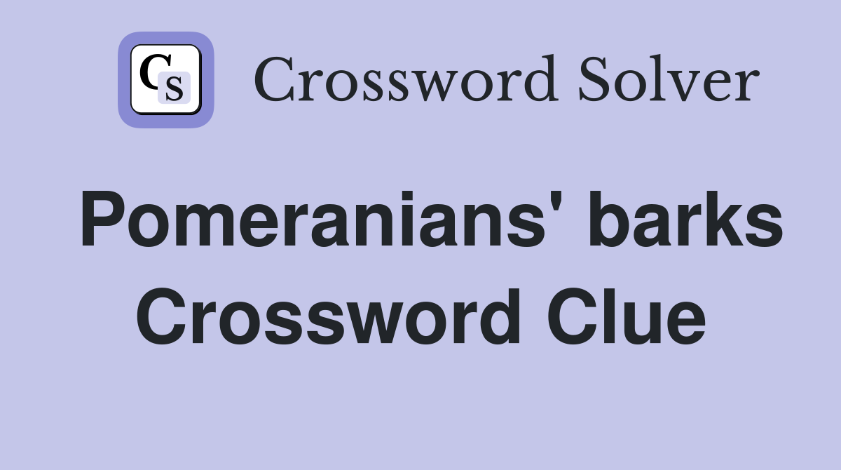 Pomeranians' barks Crossword Clue