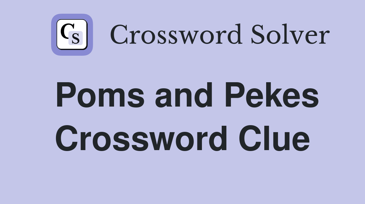 Poms and Pekes Crossword Clue