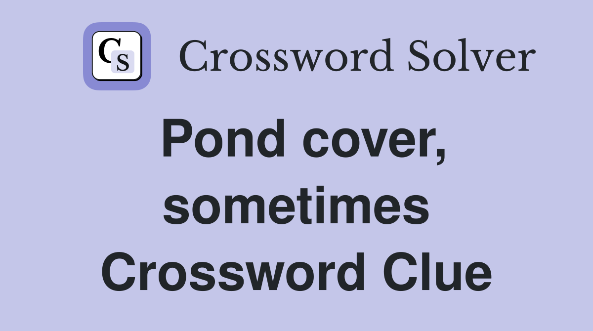 Pond cover, sometimes Crossword Clue