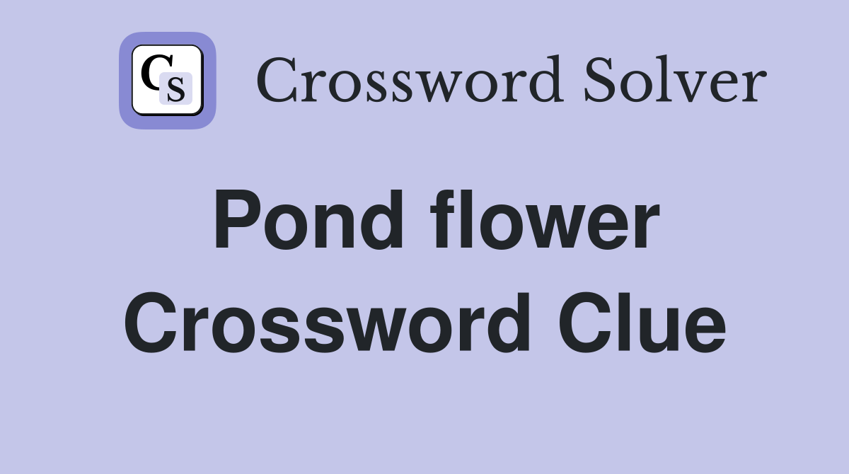 Pond flower Crossword Clue