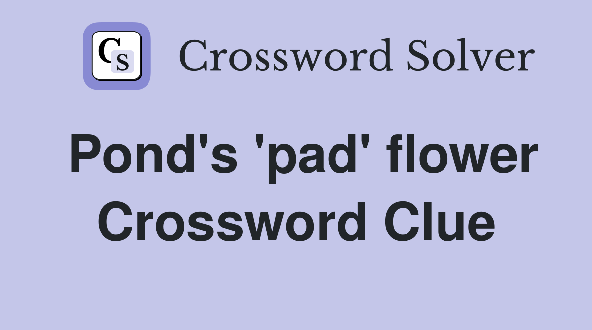 Pond's 'pad' flower Crossword Clue