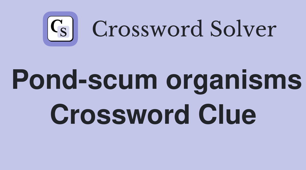 Pond-scum organisms Crossword Clue