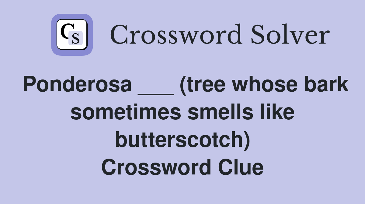 Ponderosa ___ (tree whose bark sometimes smells like butterscotch) Crossword Clue