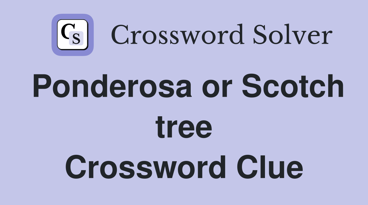 Ponderosa or Scotch tree Crossword Clue
