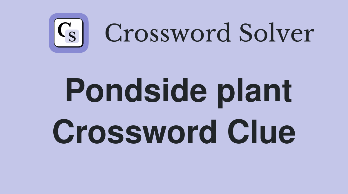 Pondside plant Crossword Clue