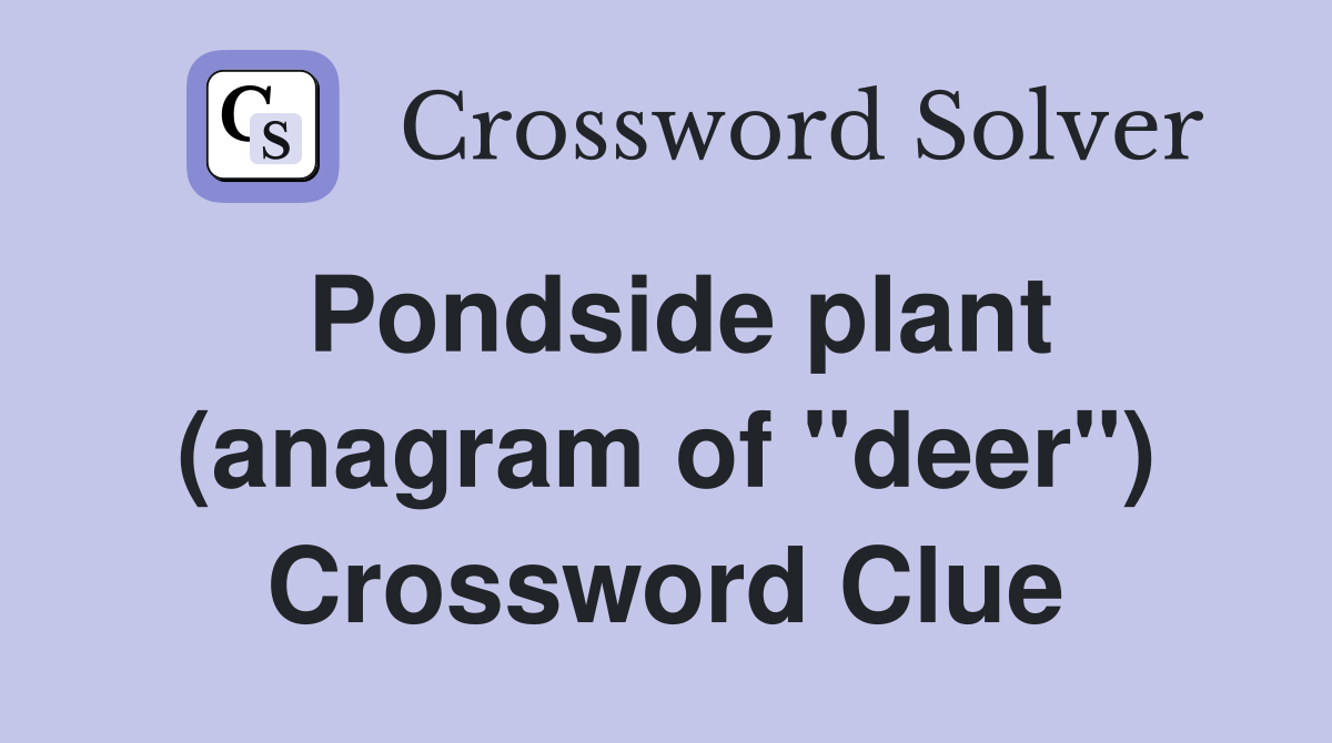 Pondside plant (anagram of "deer") Crossword Clue