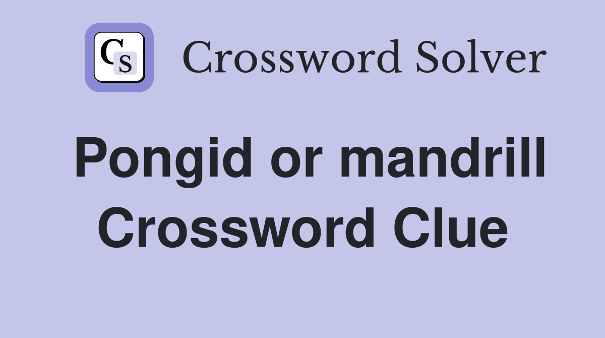 Pongid or mandrill Crossword Clue