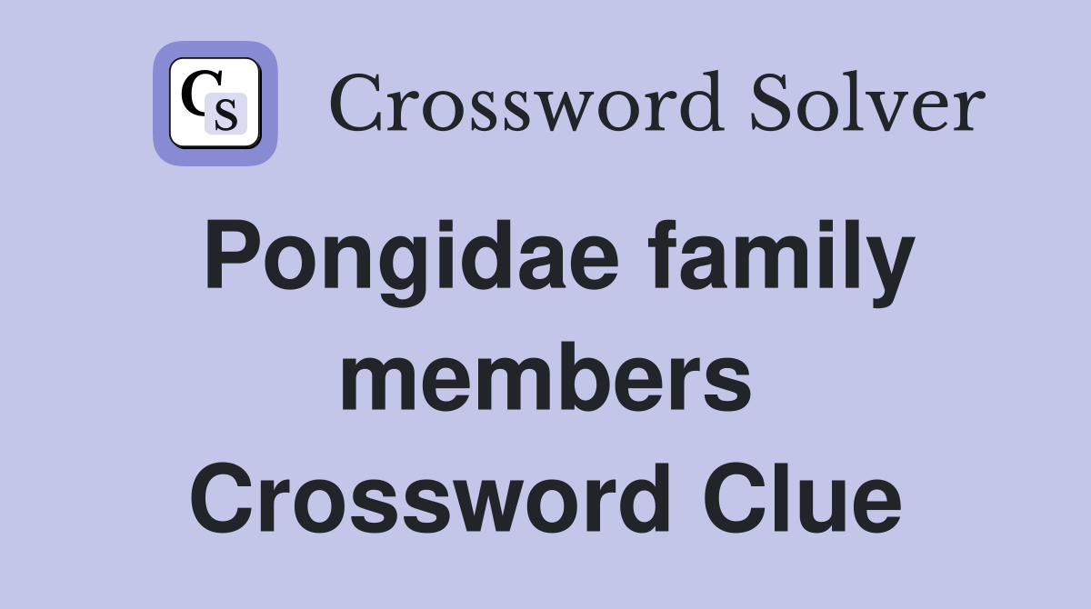Pongidae family members Crossword Clue