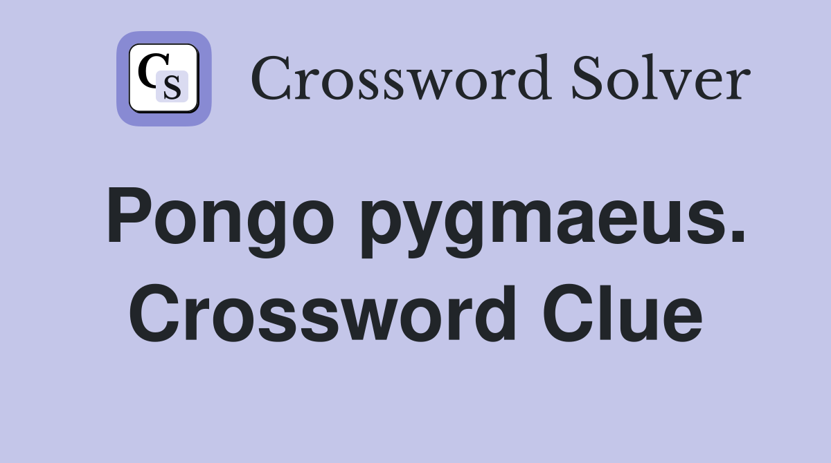 Pongo pygmaeus. Crossword Clue